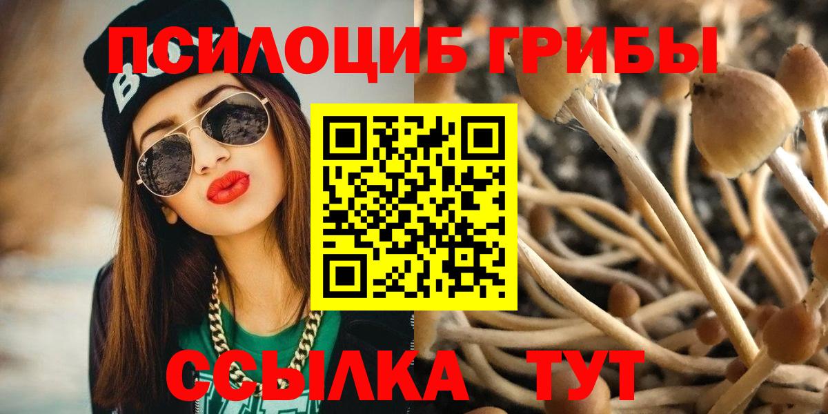 Верхняя Салда  что такое   Вход с VPN  Псилоцибиновые грибы мухоморы  Псилоцибиновые грибы Psilocybe 